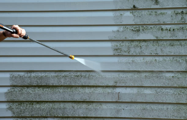 Best Certified Mold Removal  in Mckenzie, TN