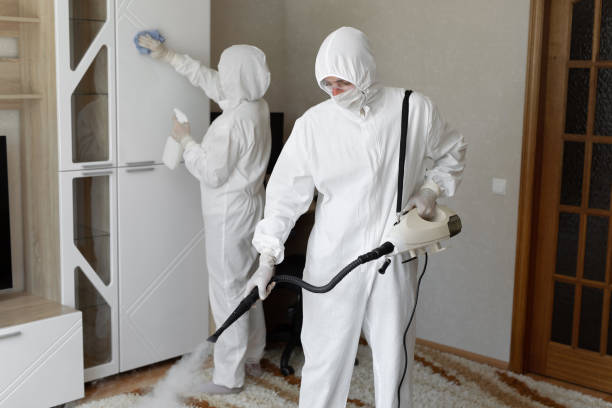 Best Certified Mold Removal  in Mckenzie, TN